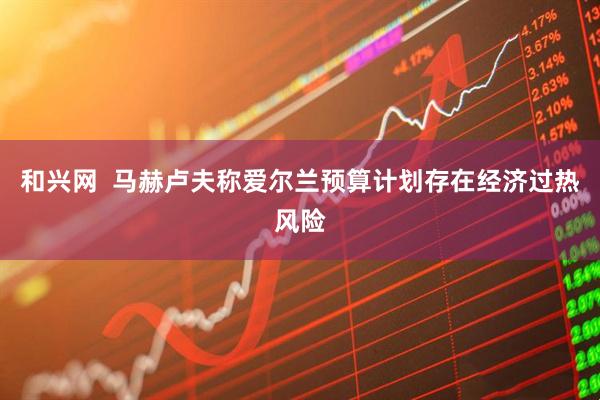 和兴网  马赫卢夫称爱尔兰预算计划存在经济过热风险