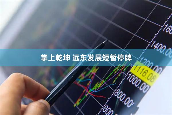 掌上乾坤 远东发展短暂停牌
